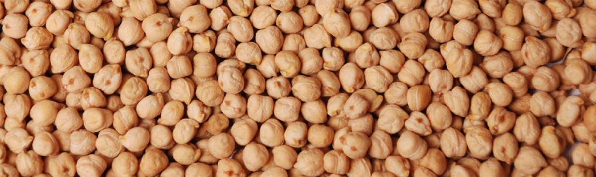 Chickpeas 42/44 Oz from India